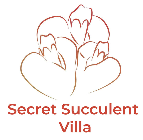 Secret Succulent Villa