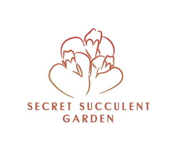 Secret Succulent Garden