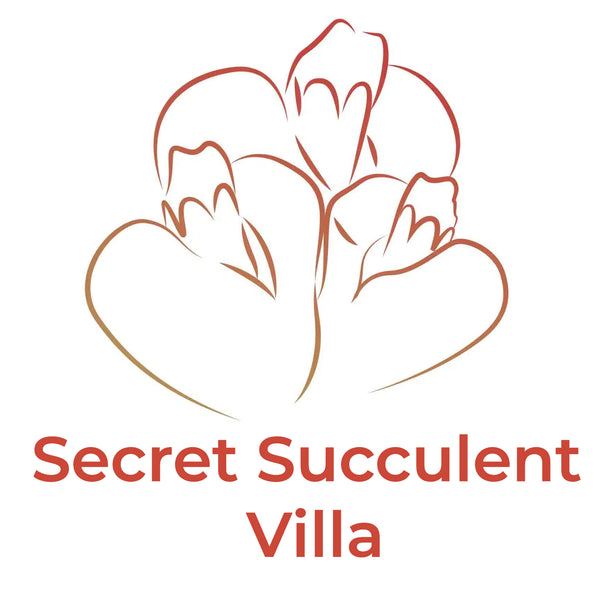Secret Succulent Garden